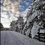 Hankowka Mazury Jerutki