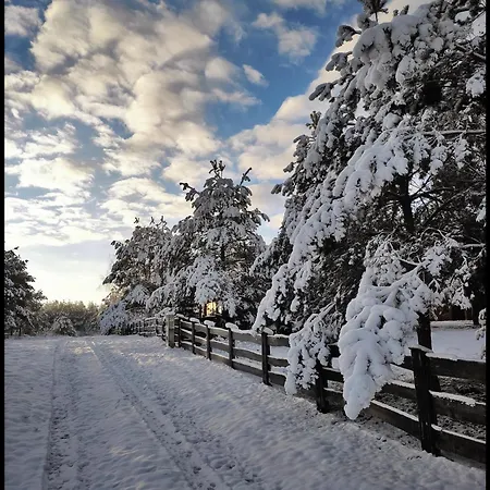 Hankówka Mazury Jerutki