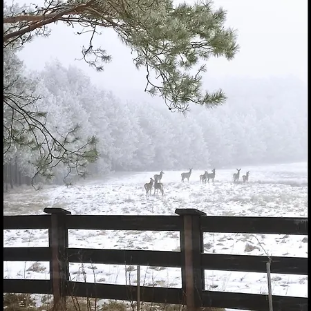 Hankówka Mazury Jerutki