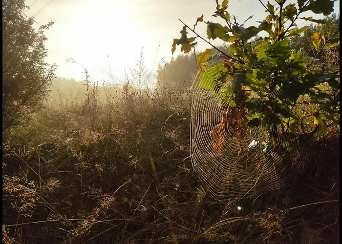 Hankowka Mazury Villa Jerutki